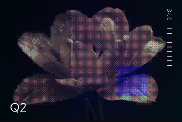A tulip rendered as a dot matrix on a dark quarterly slide