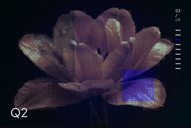 A tulip rendered as a dot matrix on a dark quarterly slide